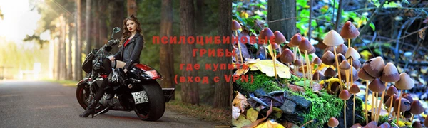 Альфа ПВП Чекалин