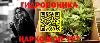 мдпв Донской