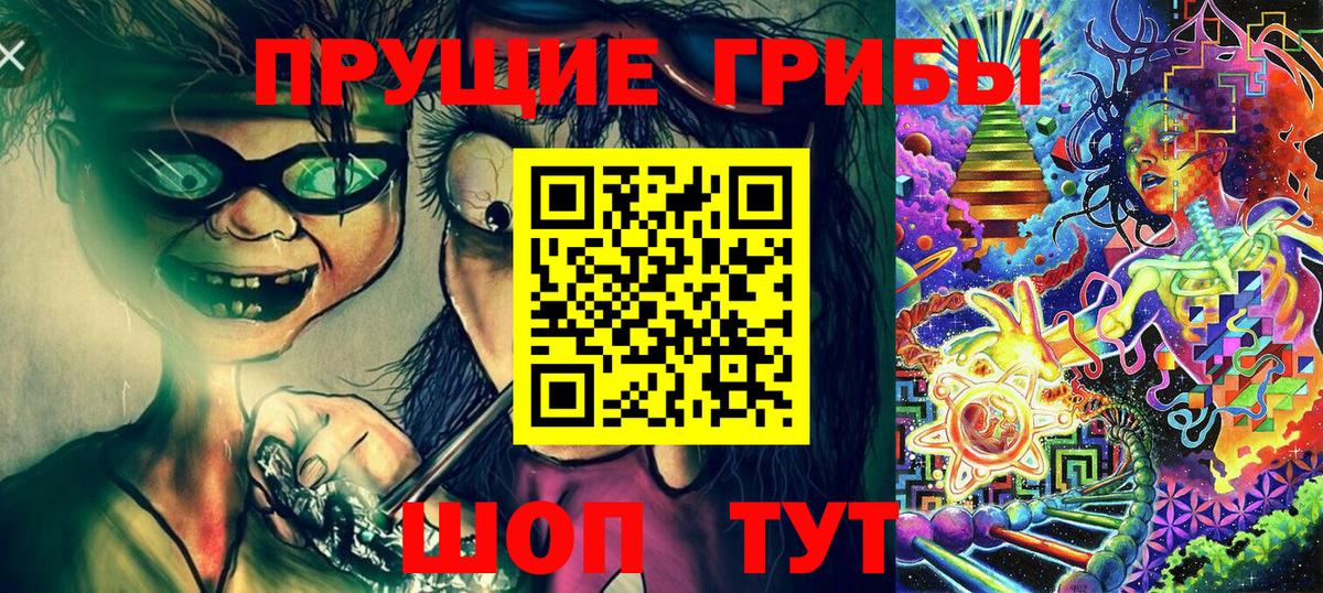 Ковров  Псилоцибиновые грибы Cubensis  Вход с VPN 