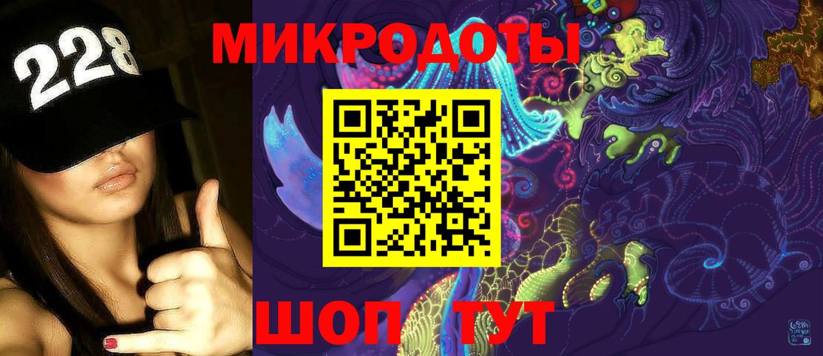 Галлюциногенные грибы Cubensis Ковров